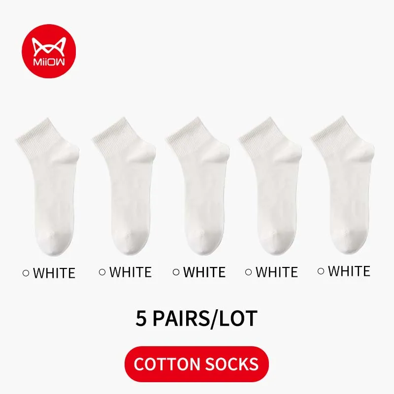 Sc66a46b4233944d686063e8d3f2517e08-1.webp Sc66a46b4233944d686063e8d3f2517e08 1